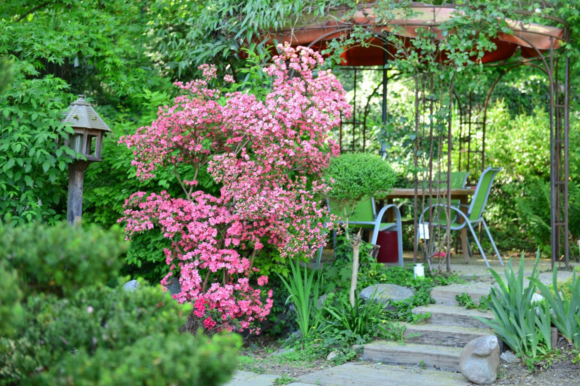 Le Jardin De La Tuilerie Alsace Hotel Pfastatt Exterior photo
